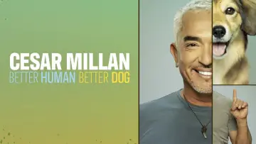 Zasłona к сериалу "Cesar Millan: lepszy człowiek, lepszy pies" #1488565
