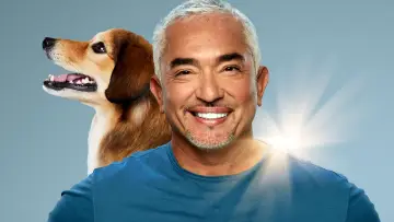 Zasłona к сериалу "Cesar Millan: lepszy człowiek, lepszy pies" #1488566