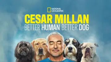 Zasłona к сериалу "Cesar Millan: lepszy człowiek, lepszy pies" #1488571