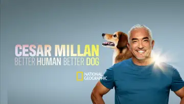 Zasłona к сериалу "Cesar Millan: lepszy człowiek, lepszy pies" #1488573