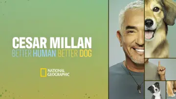 Zasłona к сериалу "Cesar Millan: lepszy człowiek, lepszy pies" #1488574
