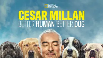 Zasłona к сериалу "Cesar Millan: lepszy człowiek, lepszy pies" #1488575