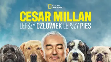 Zasłona к сериалу "Cesar Millan: lepszy człowiek, lepszy pies" #1488576