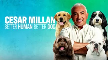 Zasłona к сериалу "Cesar Millan: lepszy człowiek, lepszy pies" #1488577