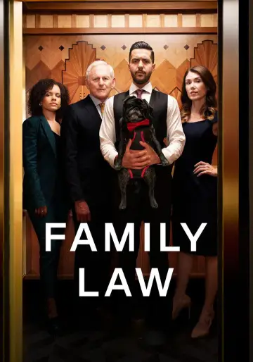 Plakat к сериалу "Family Law" #1395606