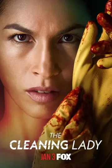 Plakat к сериалу "Pani sprzątająca" #1299809