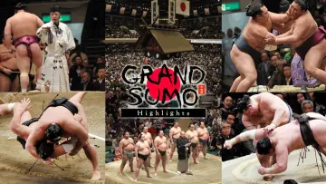 Zasłona do serialu "GRAND SUMO – Skróty" #1511298