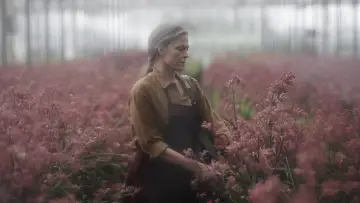 Zasłona do serialu "Wszystkie kwiaty Alice Hart" #1809910