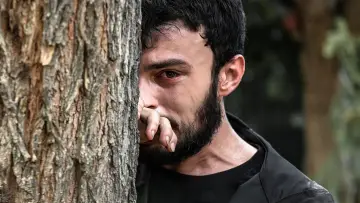 Zasłona do serialu "Śmiertelna rana" #1846464