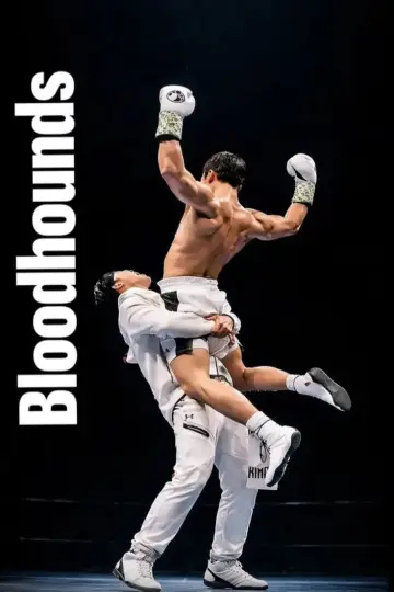 Plakat do serialu "Bloodhounds" #1536110