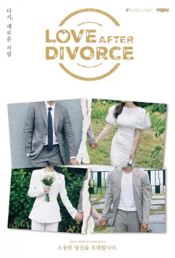 돌싱글즈 plakat