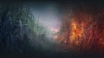 Zasłona do serialu "Reyka" #1868350
