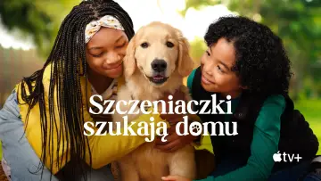 Zasłona к сериалу "Szczeniaczki szukają domu" #1430285