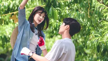 Zasłona do serialu "Dawno temu w małym miasteczku" #1816608