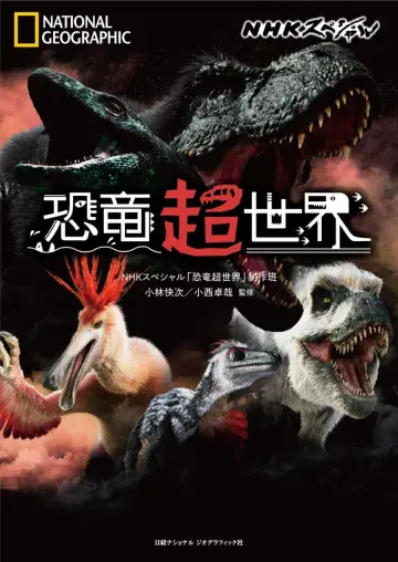Plakat do serialu "Specjalny program NHK" #1601555