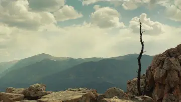 Zasłona do serialu "Na szlaku zbrodni" #1509846