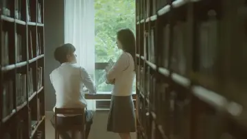 Zasłona do serialu "Nasze ukochane lato" #1594257