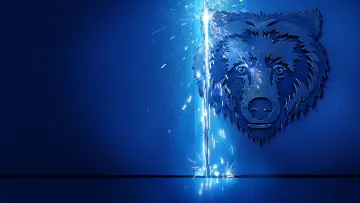Zasłona к сериалу "The Bear" #1274243