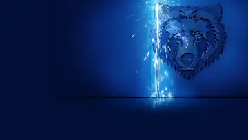 Zasłona к сериалу "The Bear" #1274246