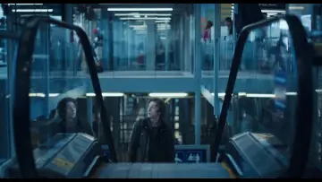 Zasłona к сериалу "The Bear" #1274290