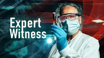 Zasłona do serialu "Expert Witness" #1602502