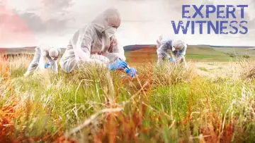 Zasłona do serialu "Expert Witness" #1602507