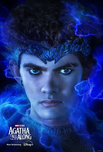 Plakat к сериалу "To zawsze Agatha" #1310857