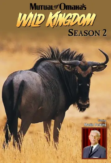 Sezon 2