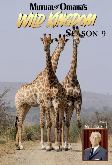 Sezon 9