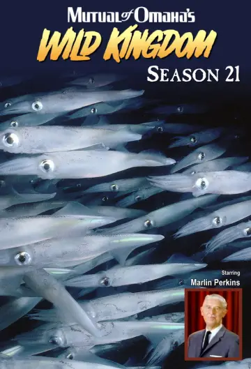 Sezon 21