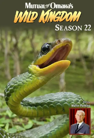 Sezon 22
