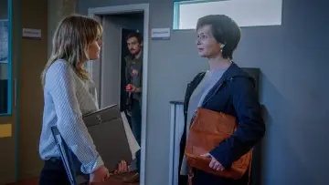 Zasłona do serialu "SOKO Linz" #1484324