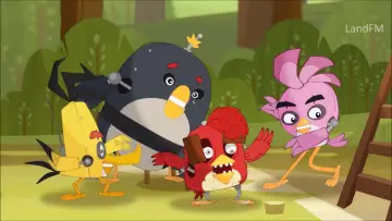 Zasłona do serialu "Angry Birds: Letnie szaleństwo" #1823790