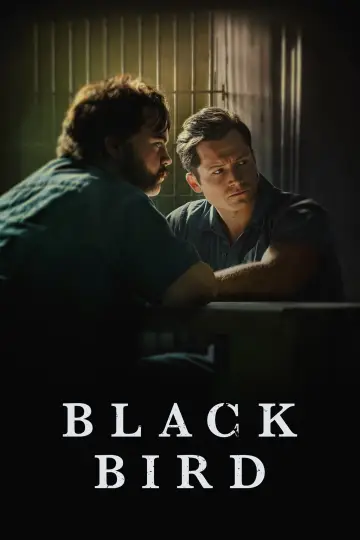 Plakat к сериалу "Czarny ptak" #1383711