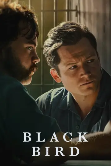 Plakat к сериалу "Czarny ptak" #1383715