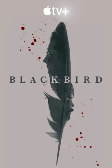 Plakat к сериалу "Czarny ptak" #1383721