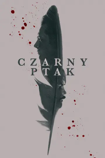 Plakat к сериалу "Czarny ptak" #1383723