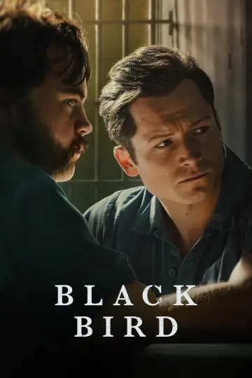 Plakat к сериалу "Czarny ptak" #1383729