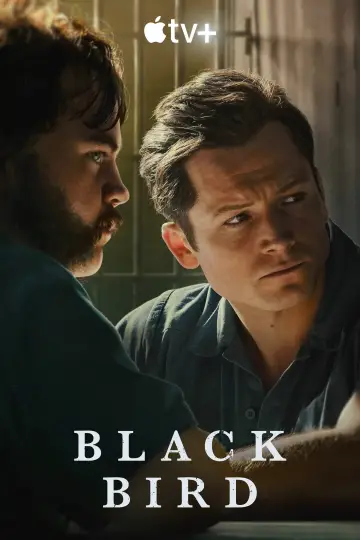 Plakat к сериалу "Czarny ptak" #1383730