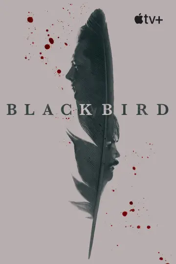 Plakat к сериалу "Czarny ptak" #1383732