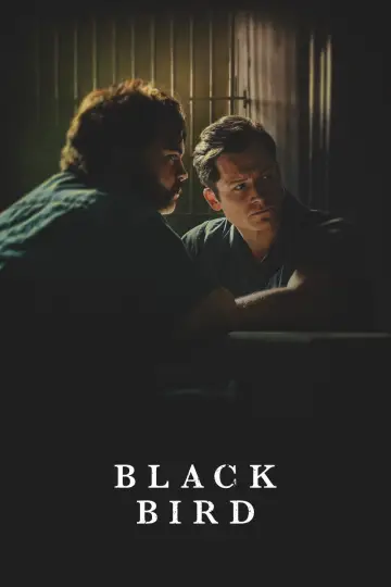 Plakat к сериалу "Czarny ptak" #1383734