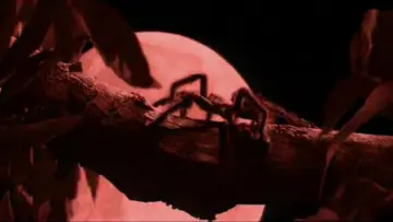 Zasłona do serialu "红蜘蛛" #1812924