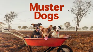 Zasłona do serialu "Muster Dogs" #1609056