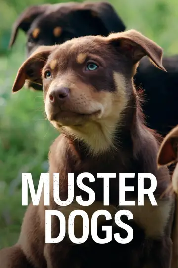 Plakat do serialu "Muster Dogs" #1609062