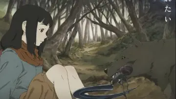 Zasłona к сериалу "Hikari no Ou" #1437689