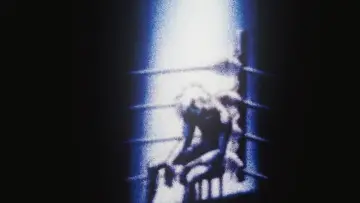 Zasłona do serialu "Hikari no Ou" #1820393