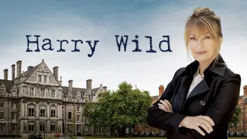 Zasłona к сериалу "Harry Wild" #1401840