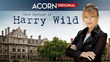Zasłona к сериалу "Harry Wild" #1401847