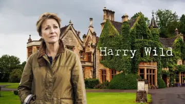 Zasłona к сериалу "Harry Wild" #1401853