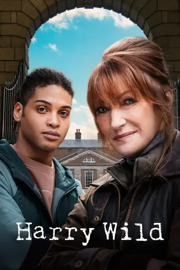 Plakat к сериалу "Harry Wild" #1401863